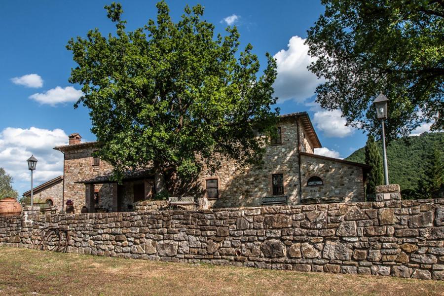 Il Colombaio Agriturismo Montegabbione Dış mekan fotoğraf