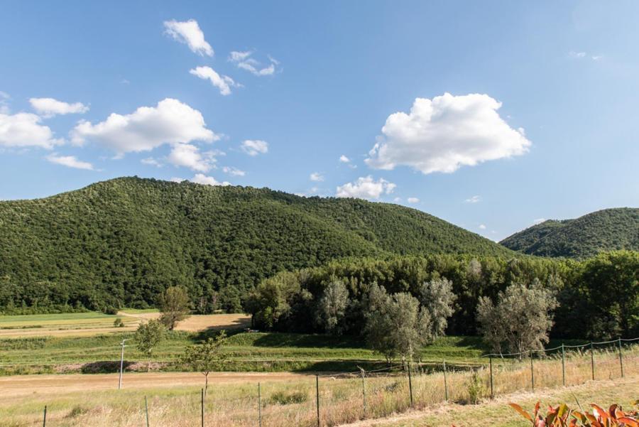 Il Colombaio Agriturismo Montegabbione Dış mekan fotoğraf
