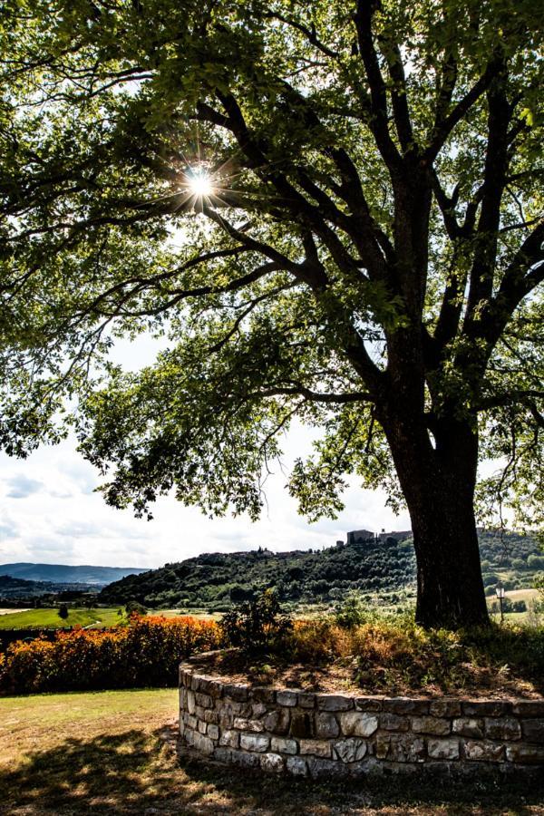 Il Colombaio Agriturismo Montegabbione Dış mekan fotoğraf
