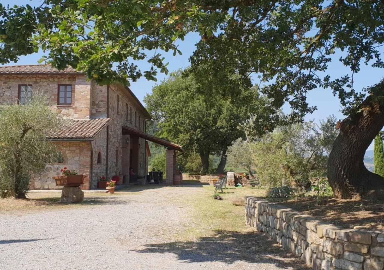 Il Colombaio Agriturismo Montegabbione Dış mekan fotoğraf